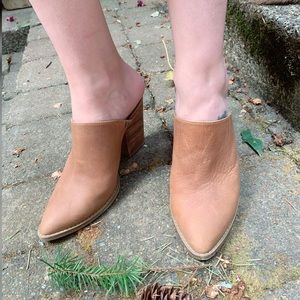 Staple, BP, heeled mules!!